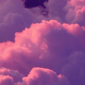 Meet your Posher, Princess